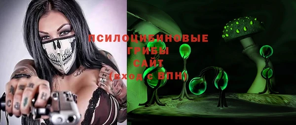 крисы Мегион