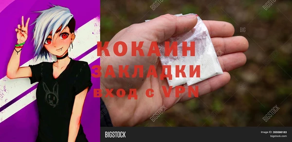 крисы Мегион