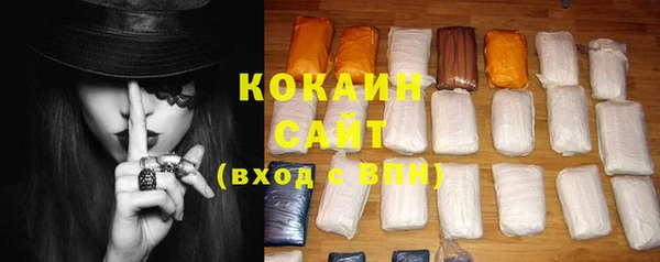 крисы Мегион