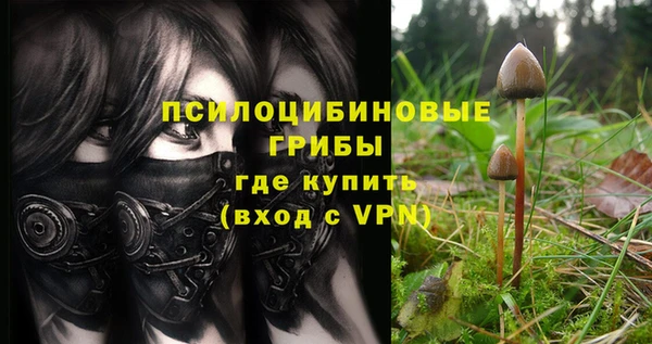 мескалин Медвежьегорск