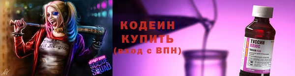 крисы Мегион