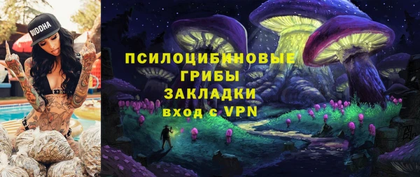 мескалин Медвежьегорск