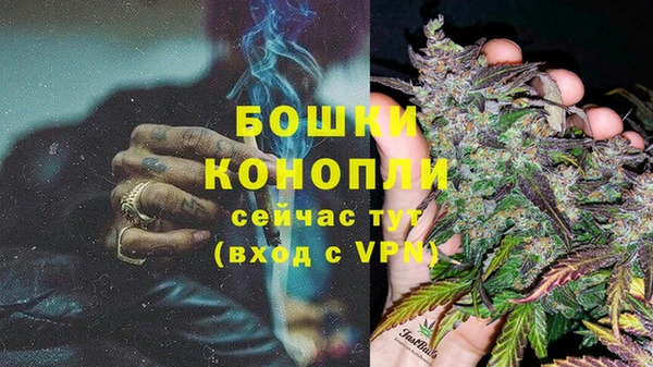 крисы Мегион