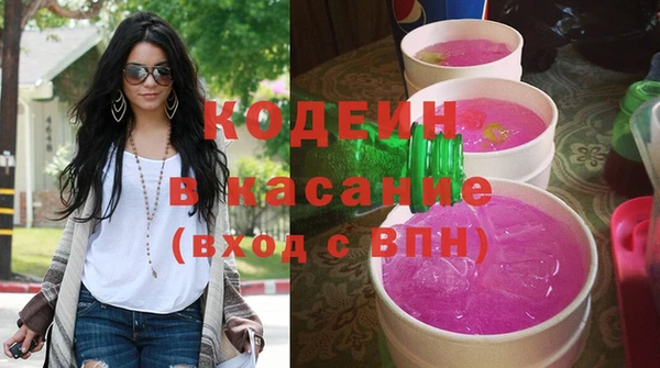 крисы Мегион