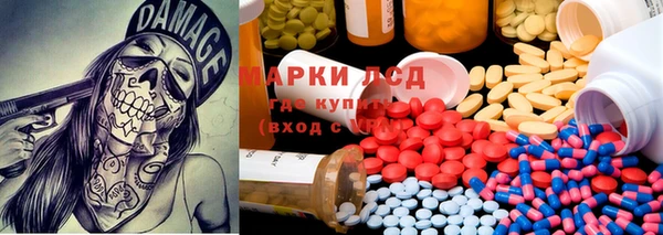 крисы Мегион