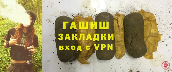 крисы Мегион