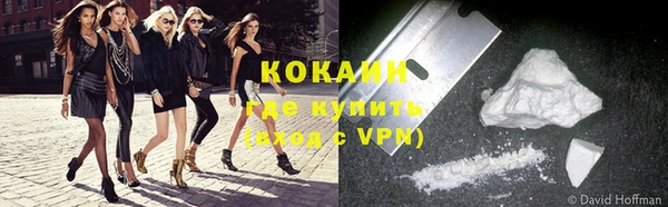 крисы Мегион